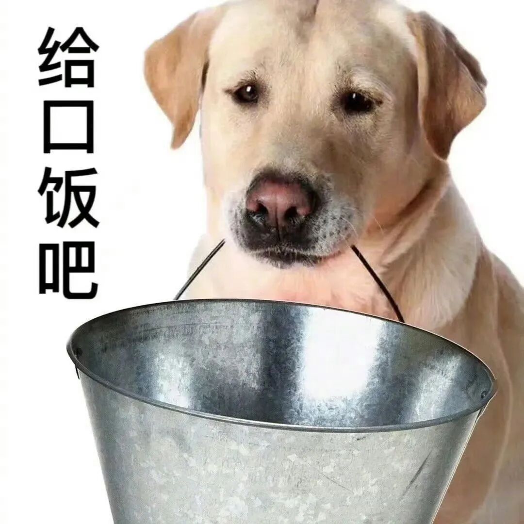 “前妻的秘密”乔妹跟小酷哥有复婚打算？乔妹放弃某音换到某牙，一家人直播效果拉满！