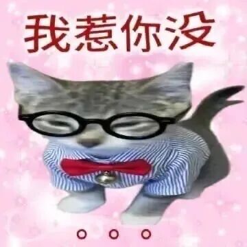 “前妻的秘密”乔妹跟小酷哥有复婚打算？乔妹放弃某音换到某牙，一家人直播效果拉满！