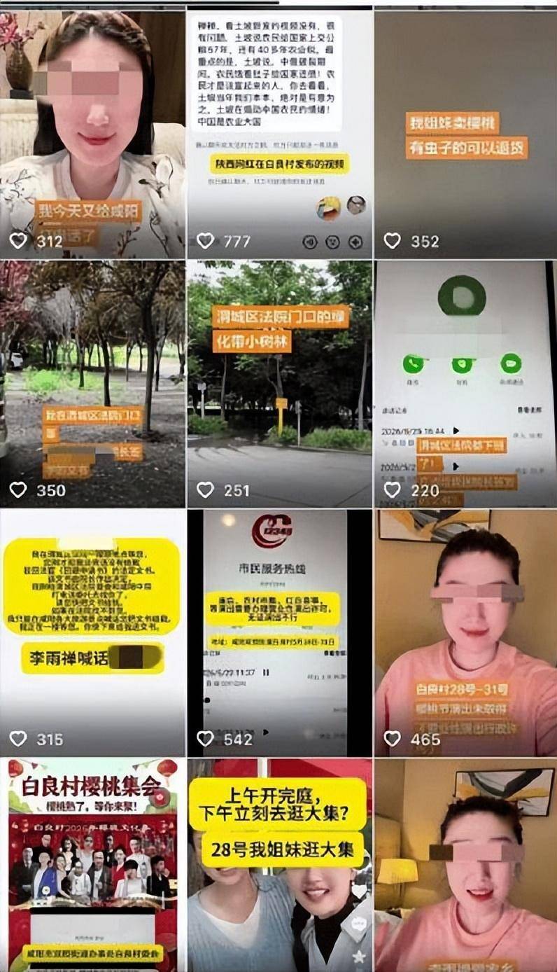 李雨禅被依法处理:果农泪曝细节,民事追责启动