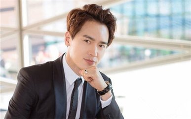 高云翔悉尼涉性侵被捕 与董璇分开