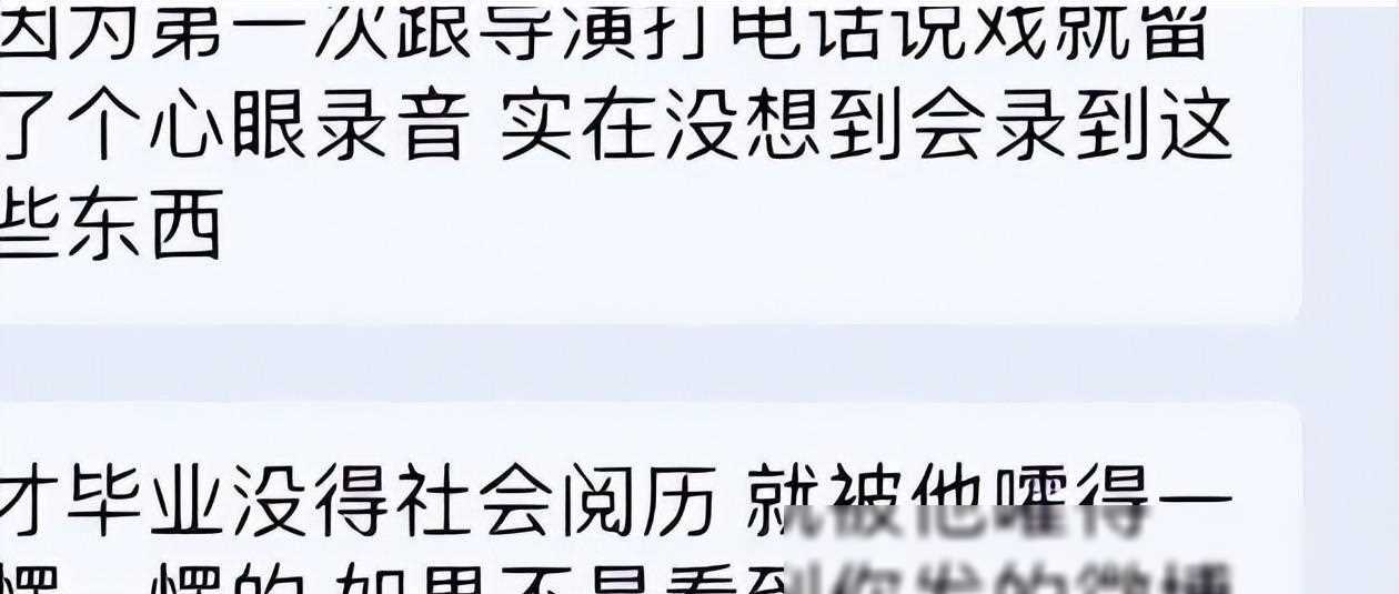 惊爆!沈导陪睡门录音曝光,多名女演员聊天记录揭秘娱乐圈内幕